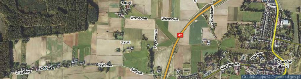 Zdjęcie satelitarne Skośna ul.